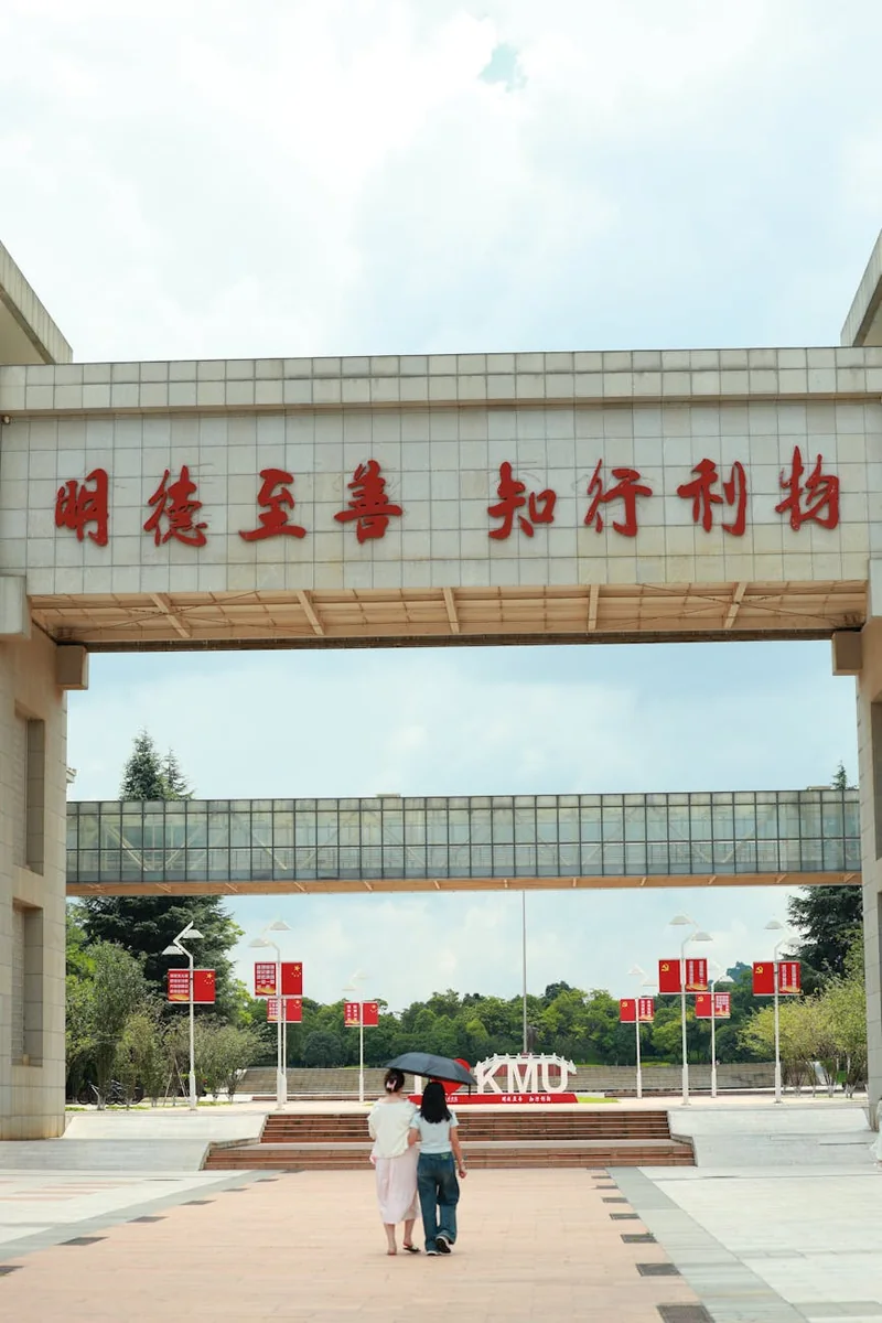 题材与连载状态对应关系说明图，展示日常、悬疑、校园等题材条目分别标注连载中、间歇更新与完结收录状态
